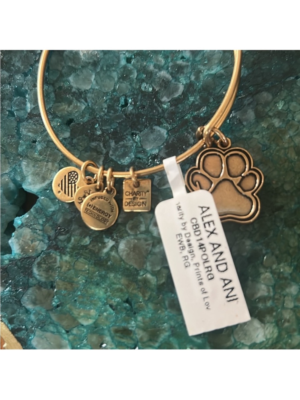 Alex and Ani Paw Print Charm Bangle Bracelet 
$30